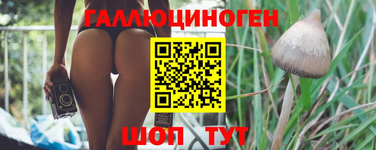 COCAIN  Гашиш  Alpha PVP СОЛЬ   МАРИХУАНА  Вход с VPN  Канск  Где купить наркотики?  Мефедрон кристаллы 