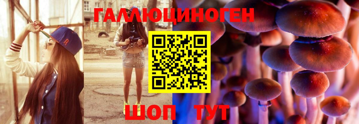 Псилоцибиновые грибы GOLDEN TEACHER  Вход с VPN  Галлюциногенные грибы прущие грибы  Канск 